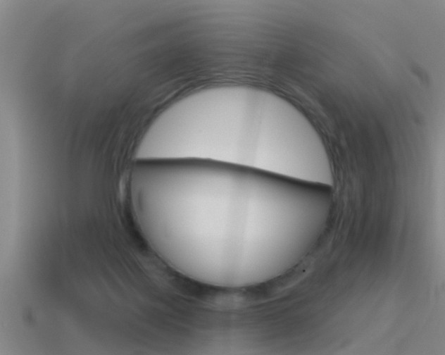 X0000115490075200911061010