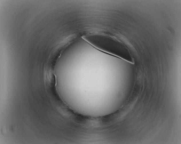 X0000115490076200911061010