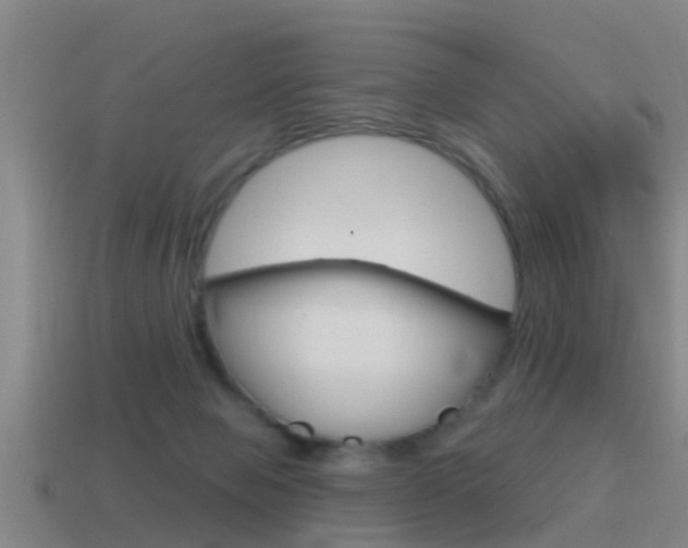 X0000115490077200911061010