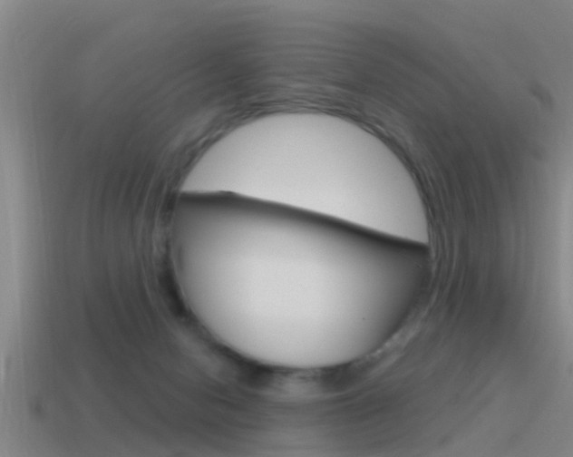 X0000115490078200911061011