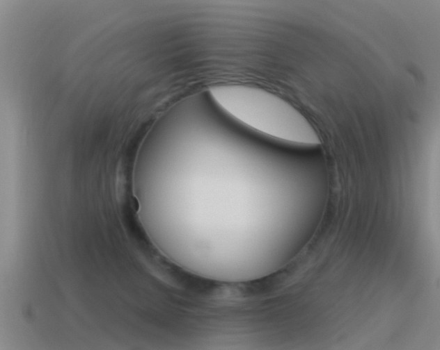 X0000115490080200911061011