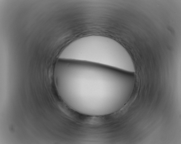 X0000115490082200911061011