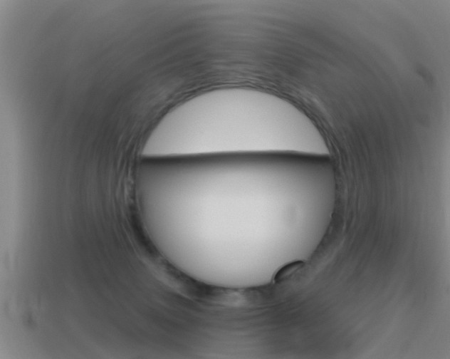 X0000115490083200911061011