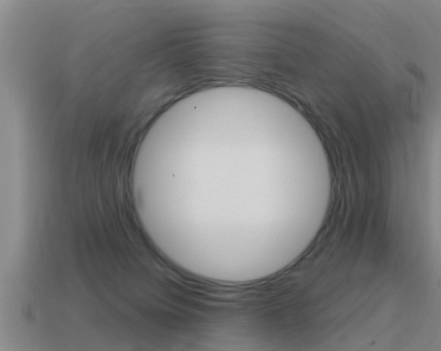 X0000115490084200911061011