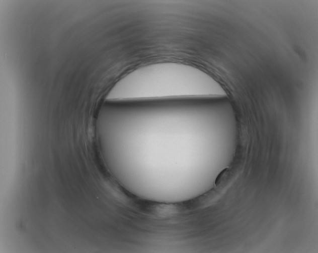 X0000115490085200911061011