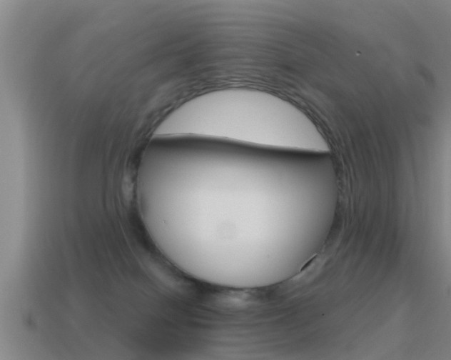 X0000115490086200911061011