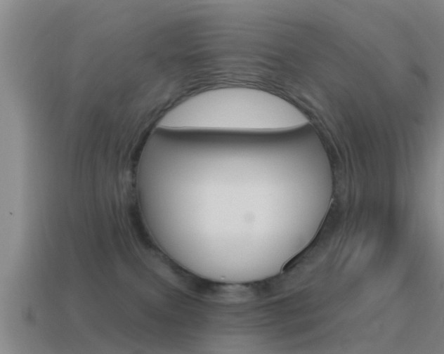 X0000115490087200911061011