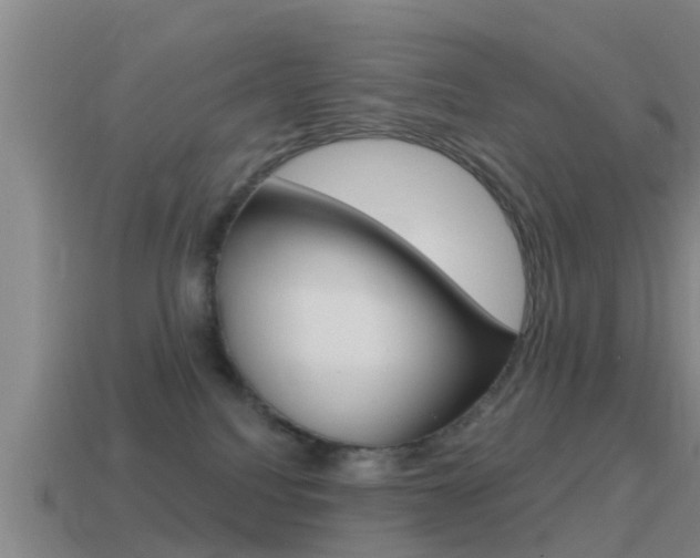 X0000115490088200911061011