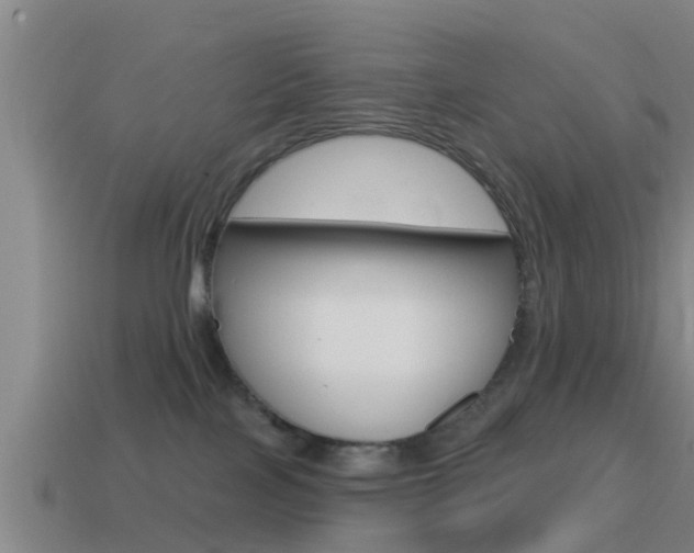 X0000115490089200911061011