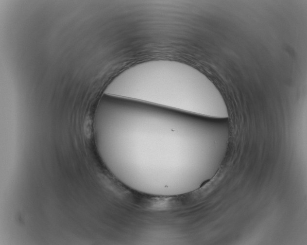 X0000115490090200911061011