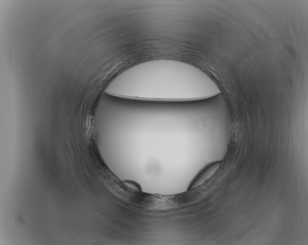 X0000115490093200911061011
