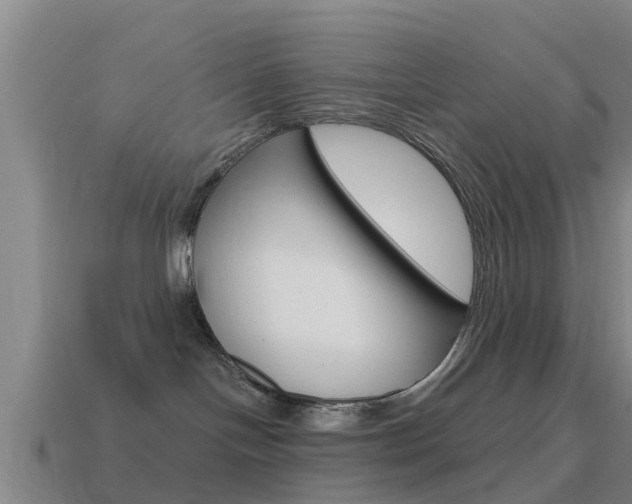 X0000115490094200911061011