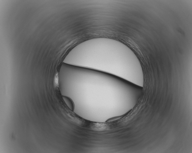 X0000115490095200911061011