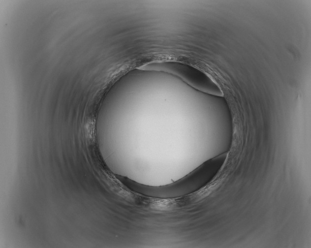 X0000115490096200911061011