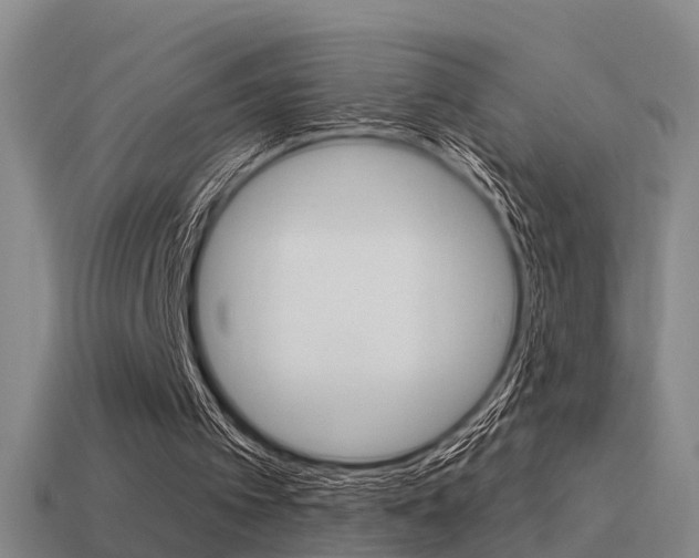 X0000115490097200911061010