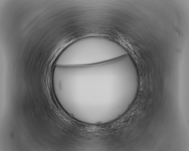 X0000115490098200911061010