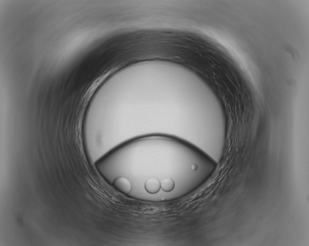 X0000115490099200911061010