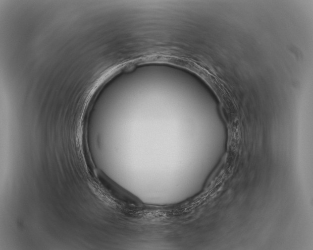 X0000115490100200911061010