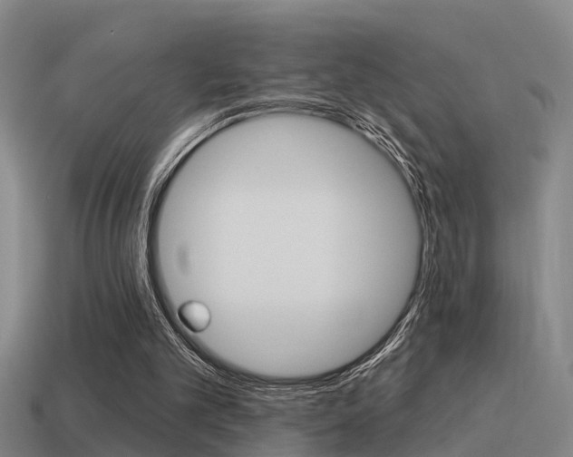 X0000115490101200911061010