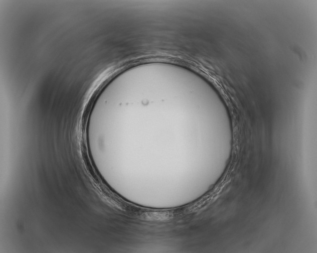 X0000115490102200911061010
