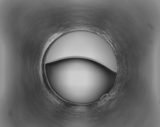 X0000115490104200911061010