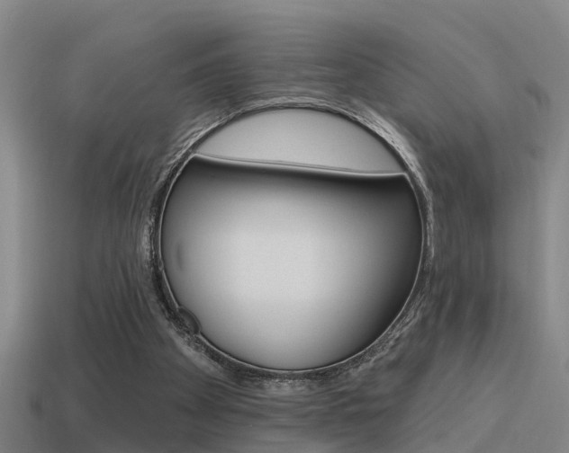 X0000115490105200911061010