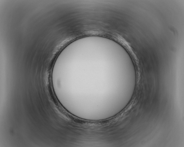 X0000115490106200911061010