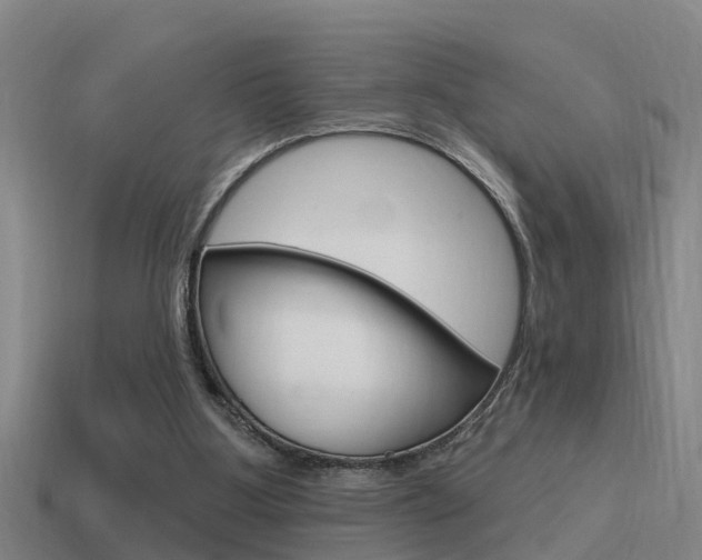 X0000115490107200911061010