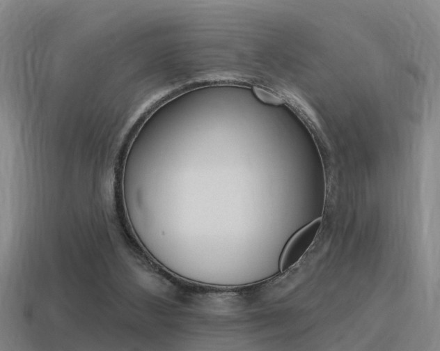 X0000115490108200911061010