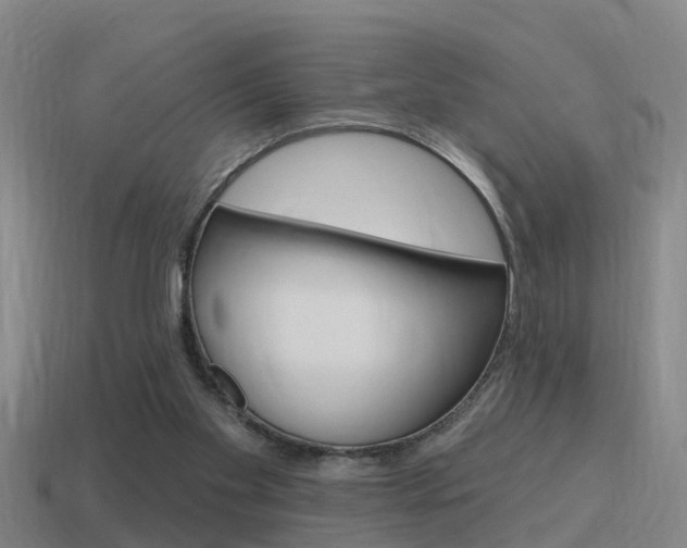 X0000115490109200911061010
