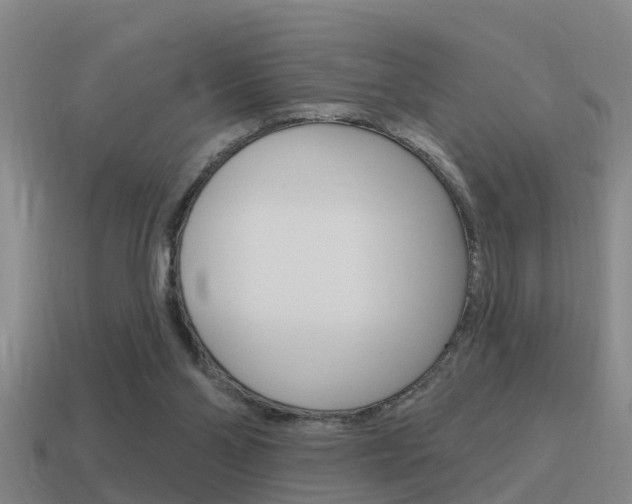 X0000115490110200911061010