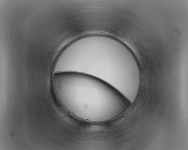 X0000115490111200911061010