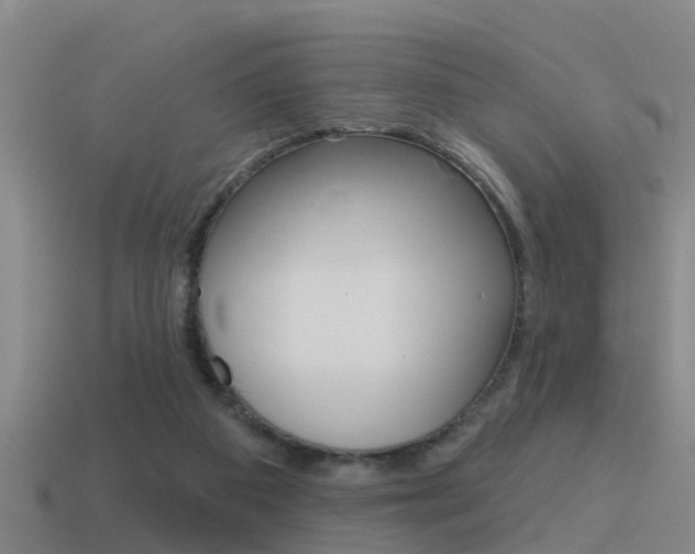 X0000115490113200911061010