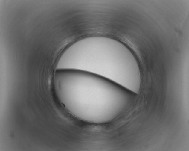 X0000115490115200911061010