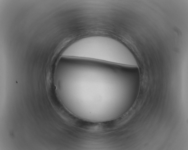 X0000115490116200911061010