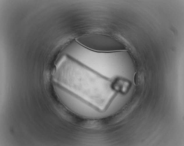 X0000115490117200911061010