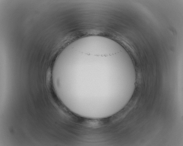 X0000115490118200911061010