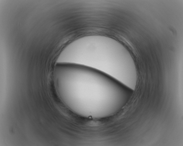 X0000115490119200911061010