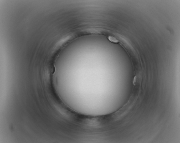 X0000115490120200911061010