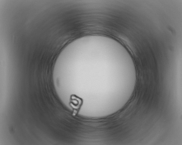 X0000115490121200911061010