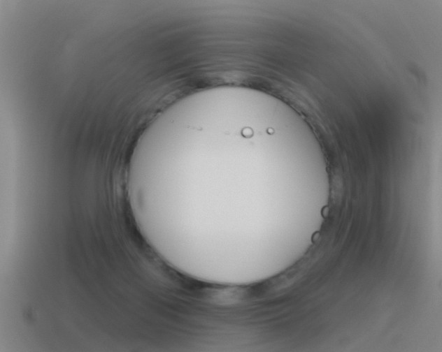 X0000115490122200911061010
