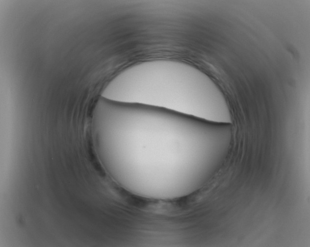 X0000115490125200911061010