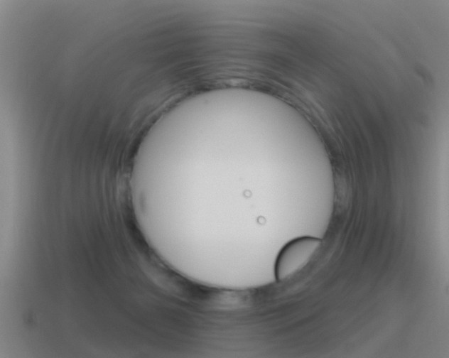 X0000115490126200911061010