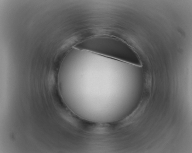 X0000115490128200911061010