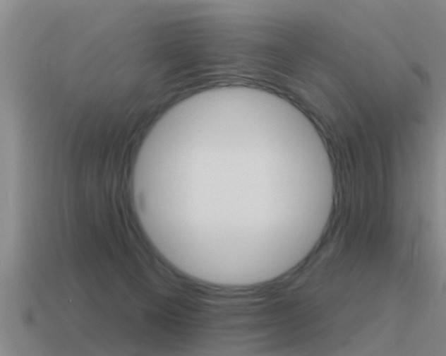 X0000115490129200911061010