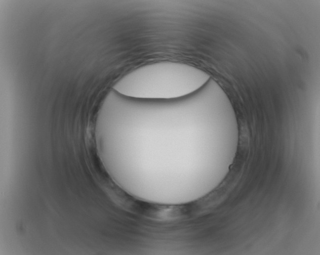 X0000115490130200911061010