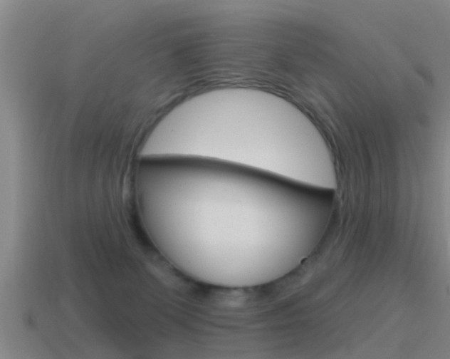 X0000115490131200911061010