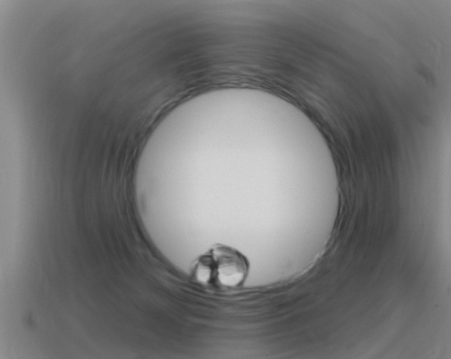 X0000115490132200911061010