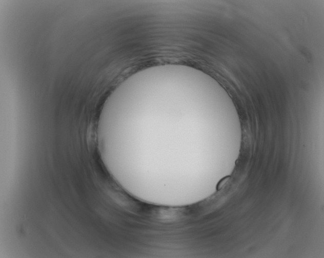 X0000115490134200911061010