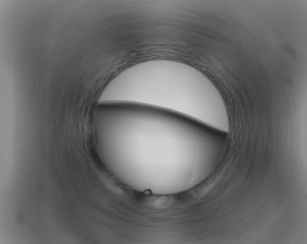 X0000115490135200911061010